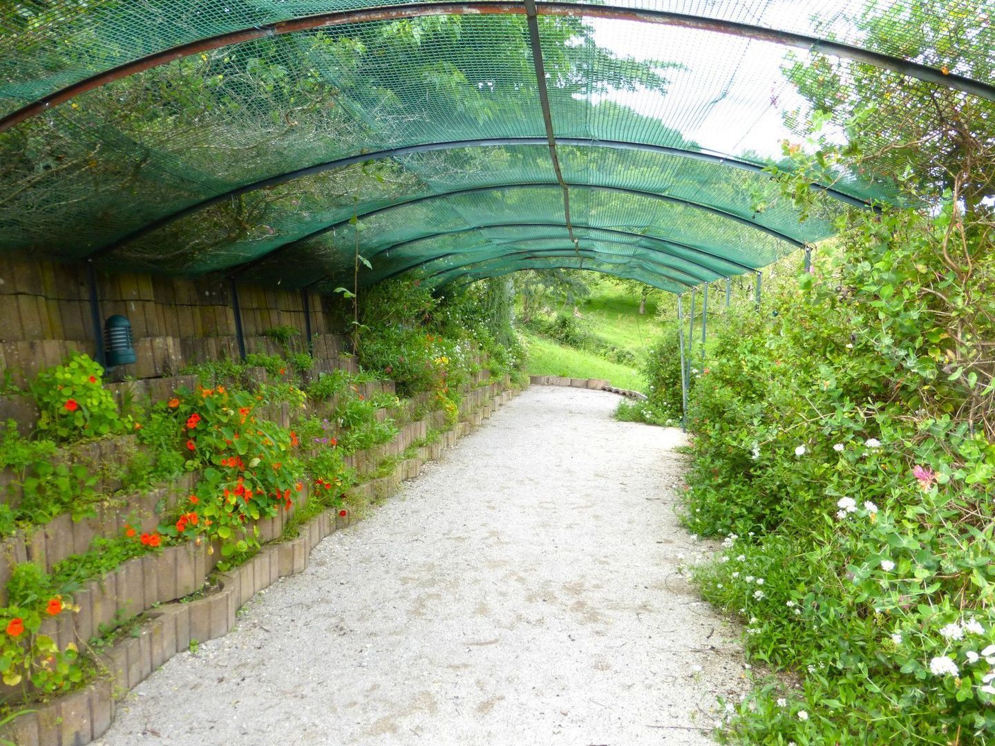 Beaulieu-sur-Dordogne, Beaulieu-sur-Dordogne foto-9