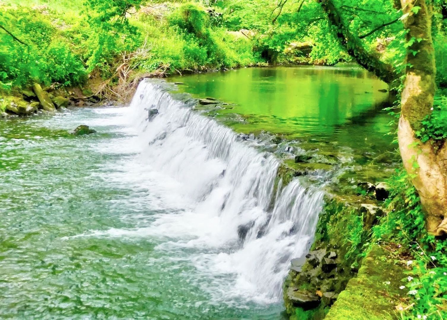 Oloron-Sainte-Marie, Oloron-Sainte-Marie foto-9