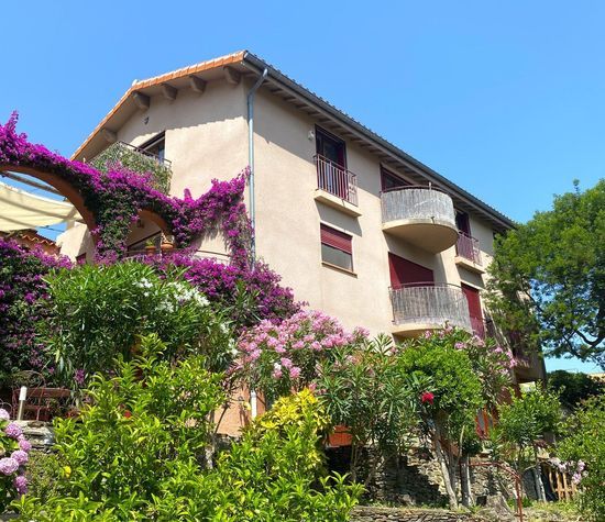 Collioure, Collioure