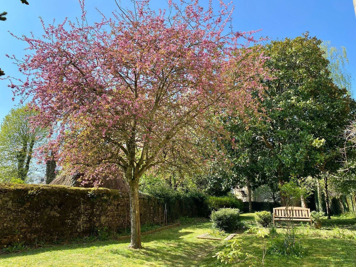 Mayenne, Mayenne foto-9