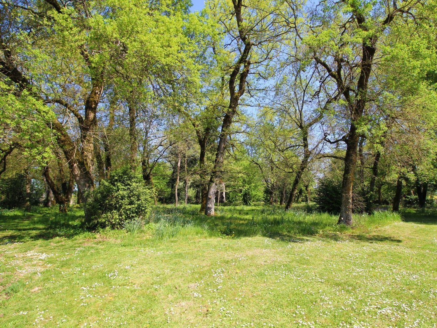 Saint-Fraigne, Saint-Fraigne foto-3