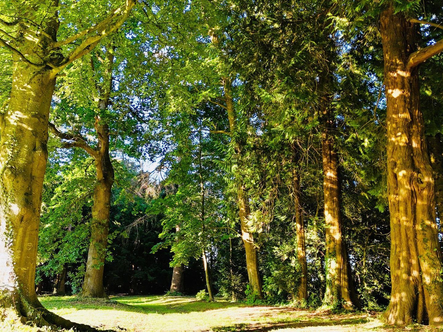 Lisieux, Lisieux foto-8