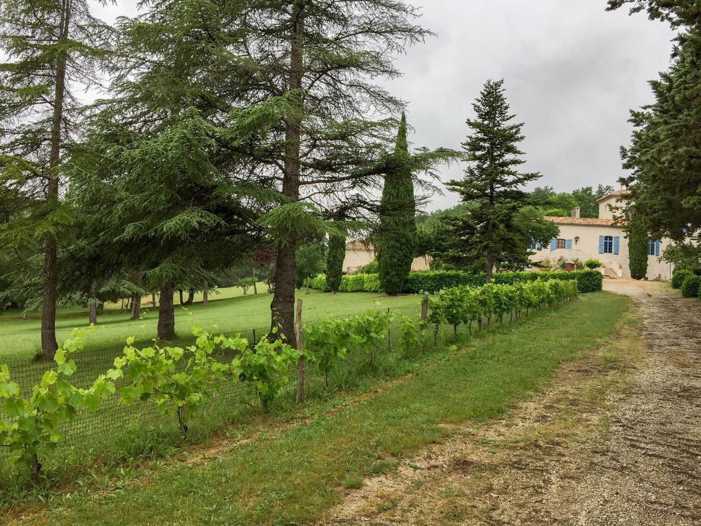 Montcuq-en-Quercy-Blanc, Montcuq-en-Quercy-Blanc foto-4