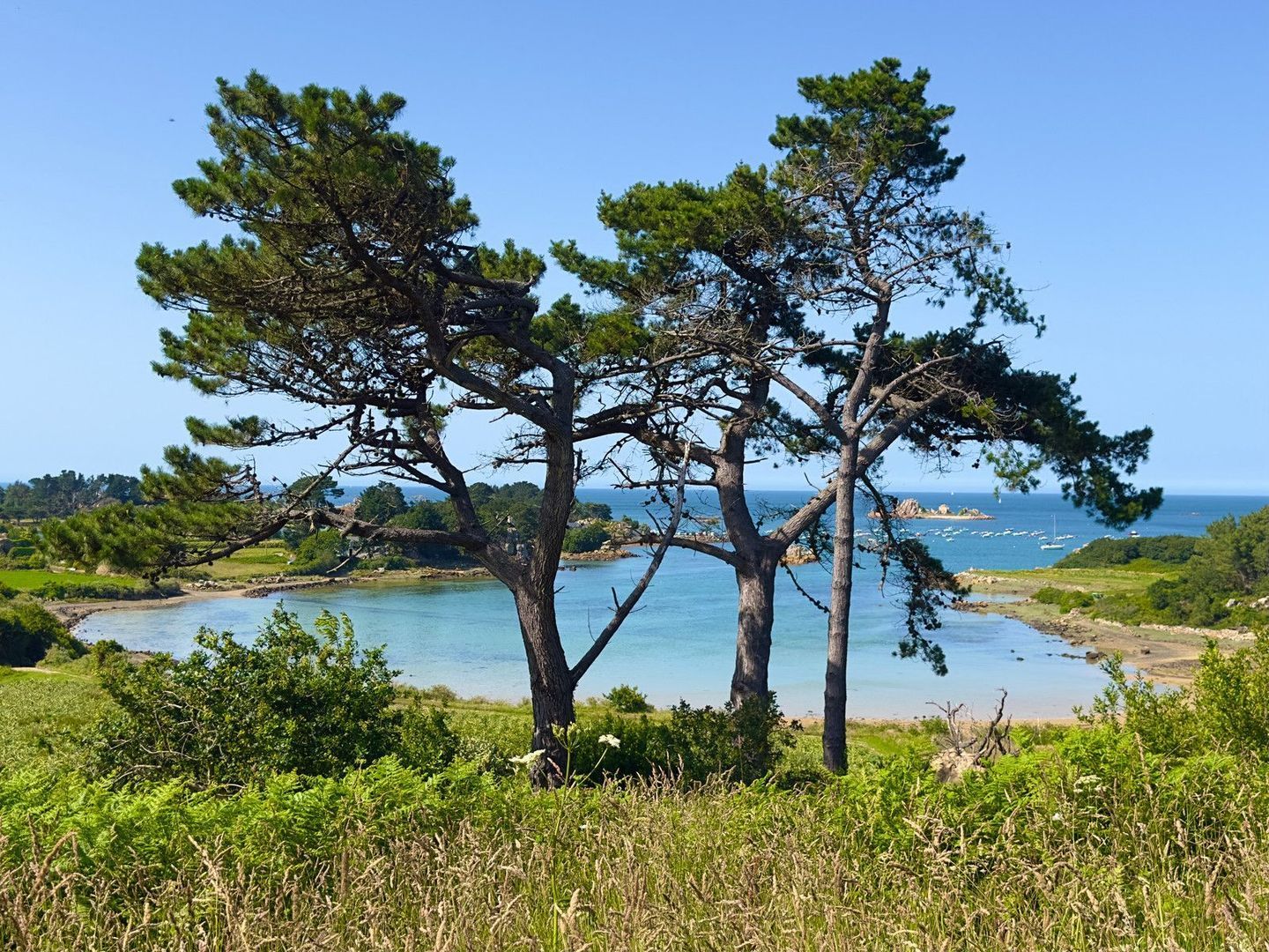 Penvénan, Penvénan foto-1