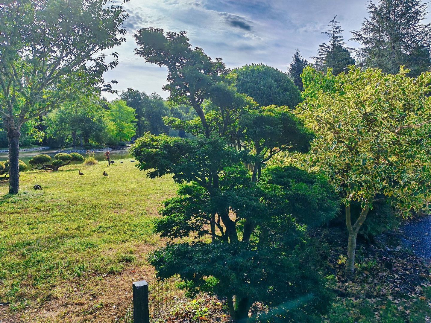 Blois, Blois foto-4