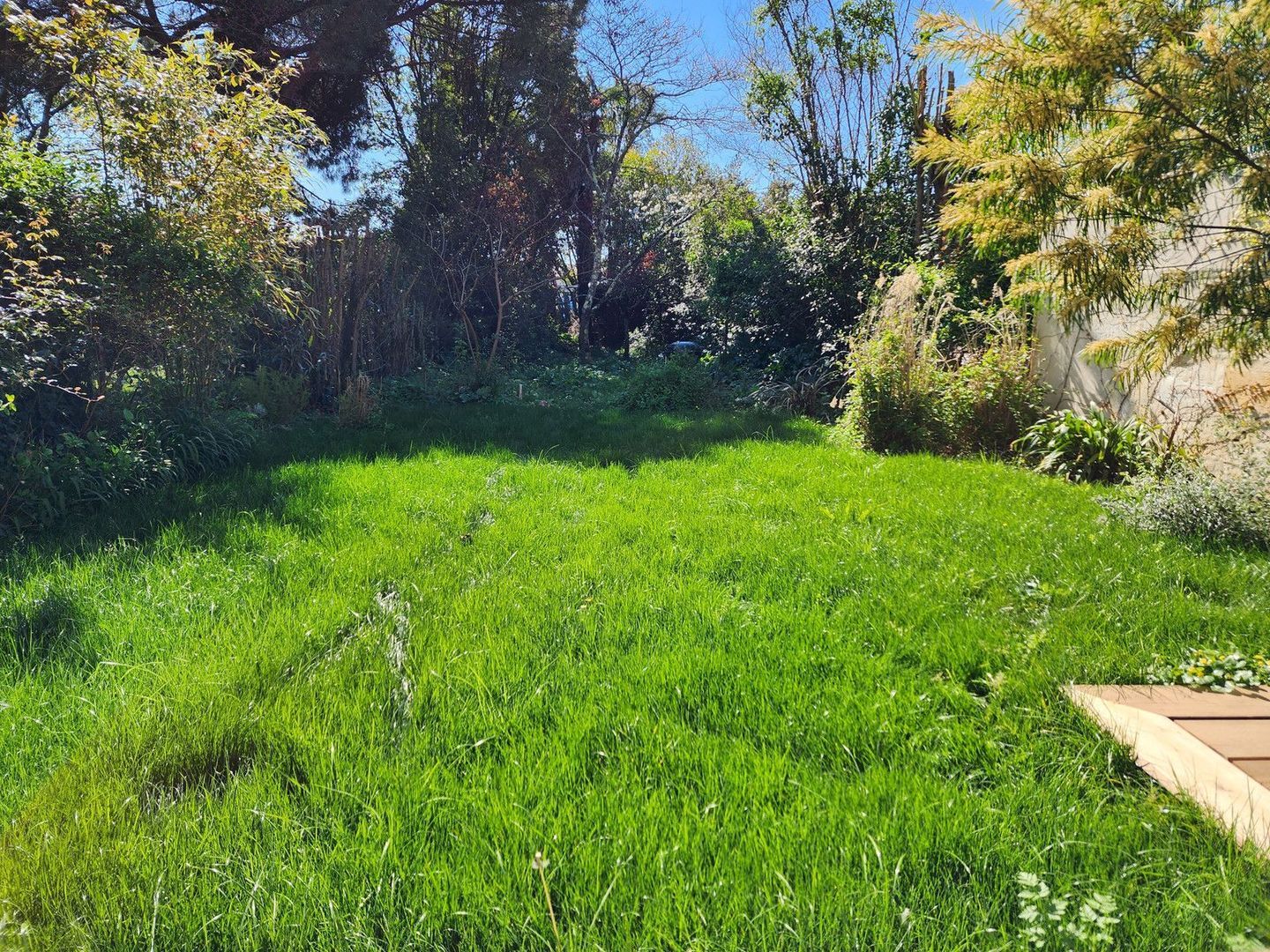 Talence, Talence foto-9