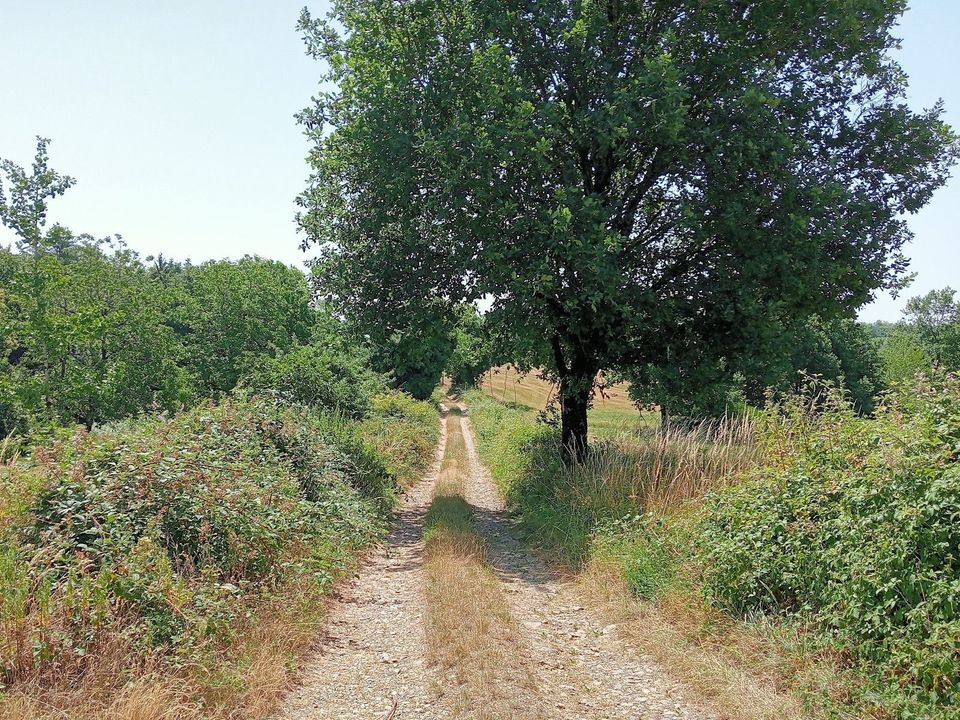 Argentat-sur-Dordogne, Argentat-sur-Dordogne foto-2