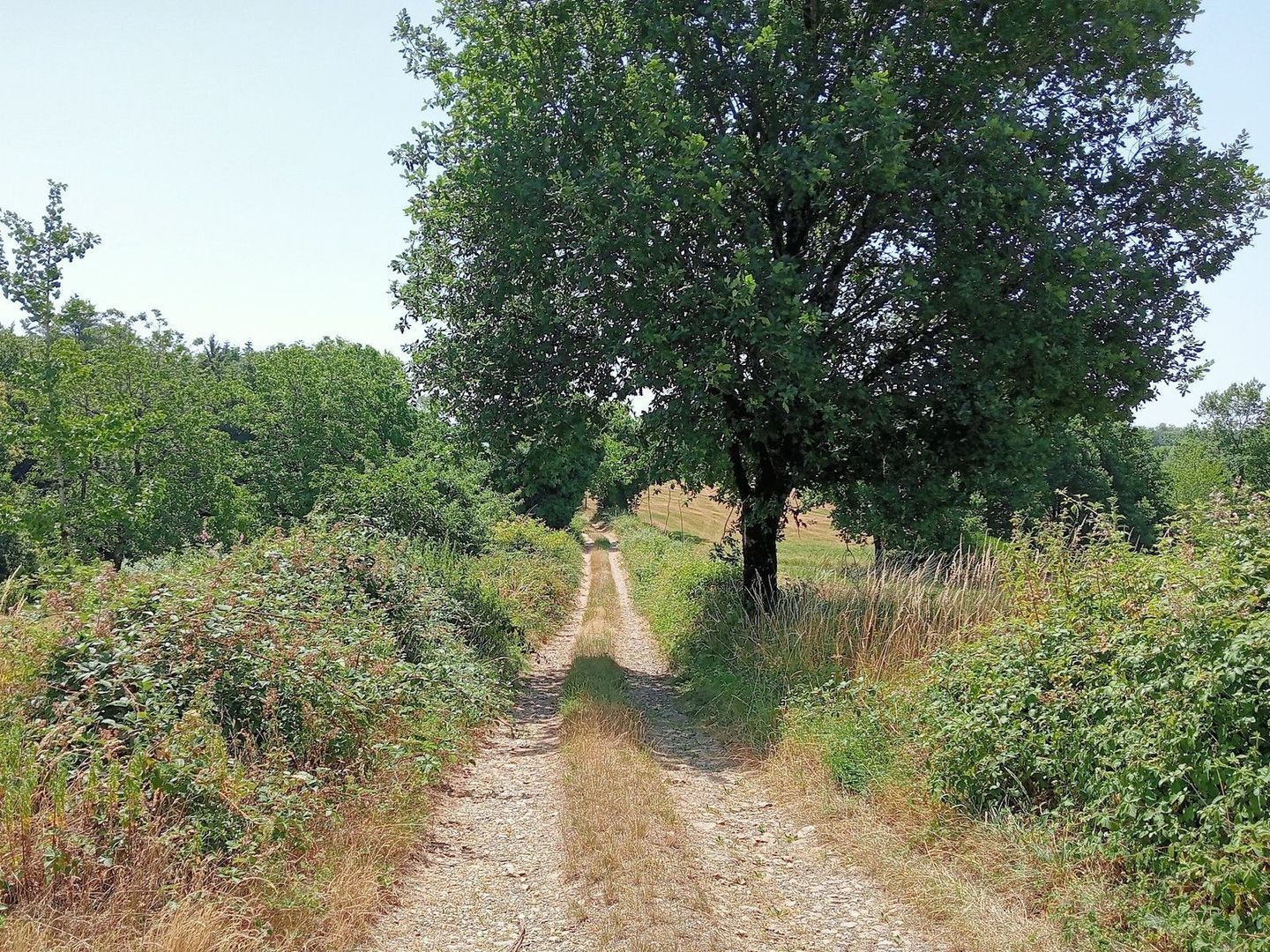 Argentat-sur-Dordogne, Argentat-sur-Dordogne foto-1