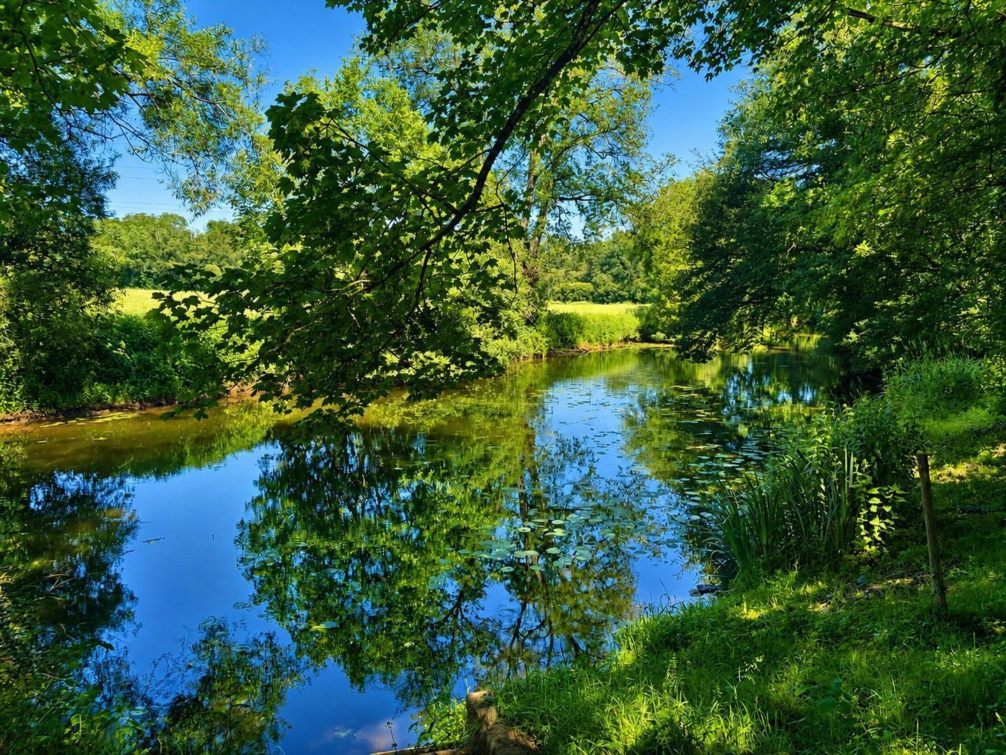 Ploërmel, Ploërmel foto-5