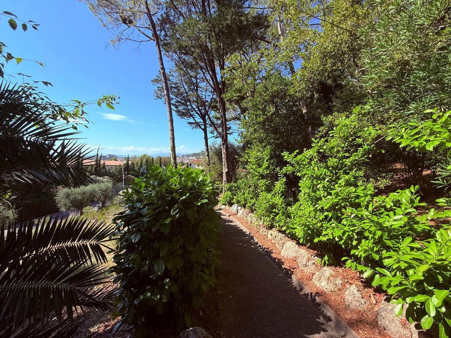 Cannes, Cannes foto-8