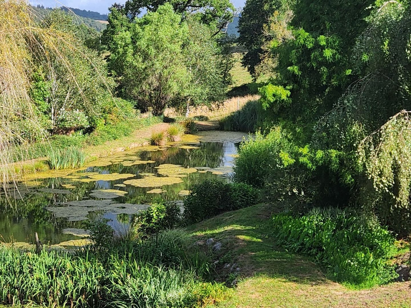 Lescure-Jaoul, Lescure-Jaoul foto-6