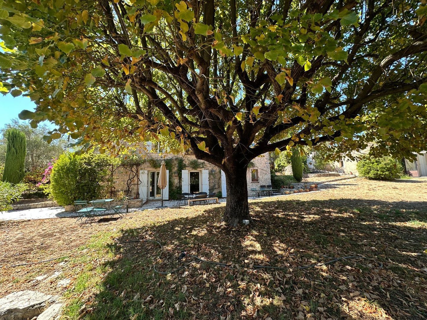 PLACE FREDERIC MISTRAL SAINT JACQUES, 06130 Grasse, Grasse foto-8