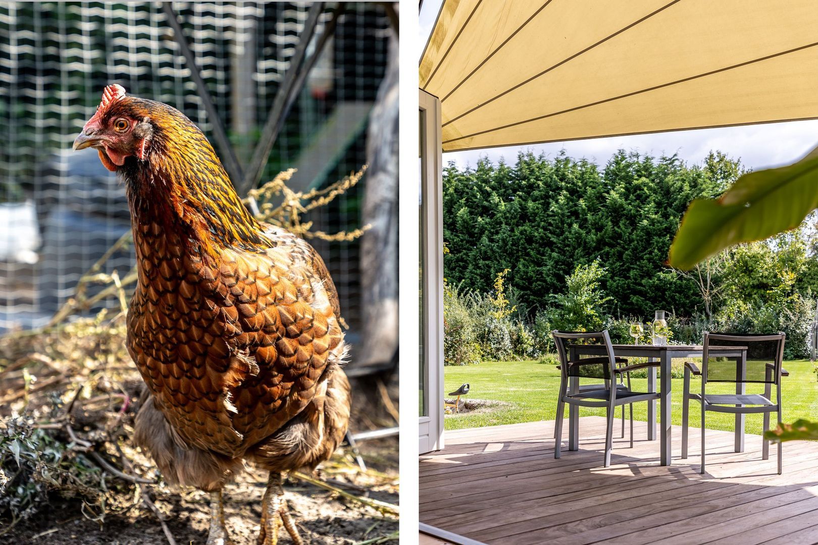 Sportlaan 3 b, Oostvoorne foto-34