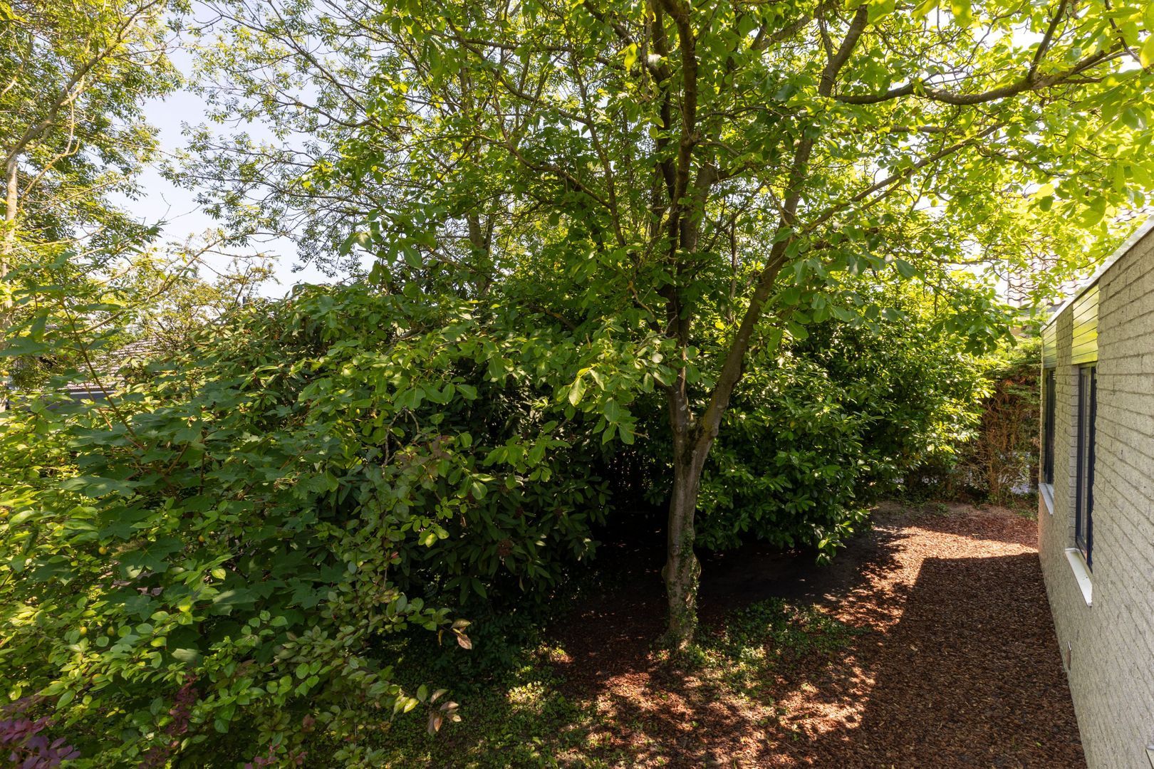 Notaris L P vd Blinkln 30, Brielle foto-7