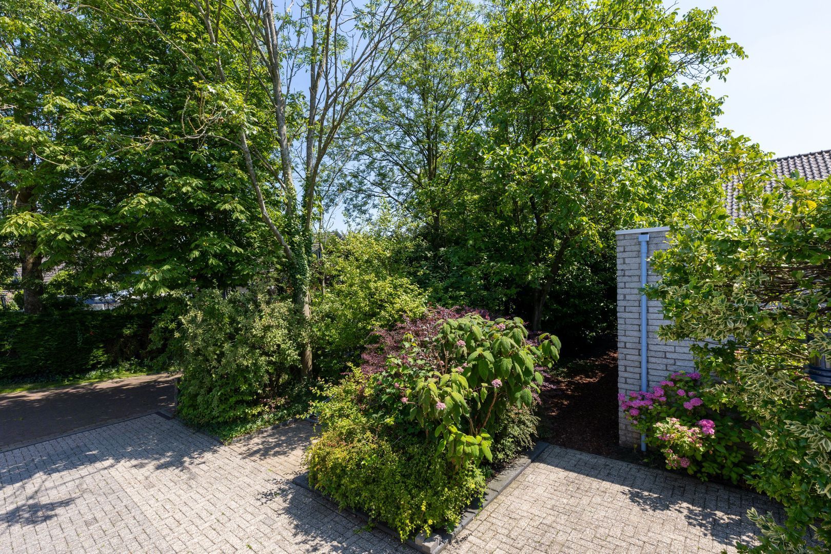 Notaris L P vd Blinkln 30, Brielle foto-6