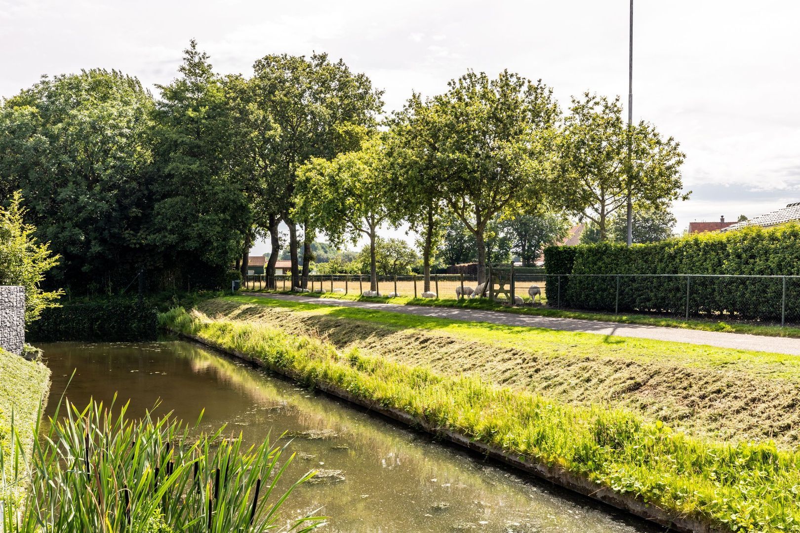 Molendijk 5 b, Oostvoorne foto-62