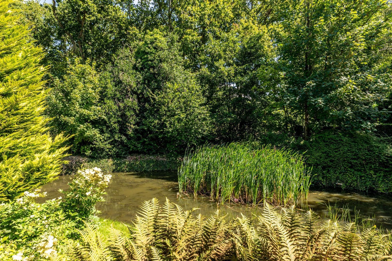 Donselaer 16, Oostvoorne foto-45