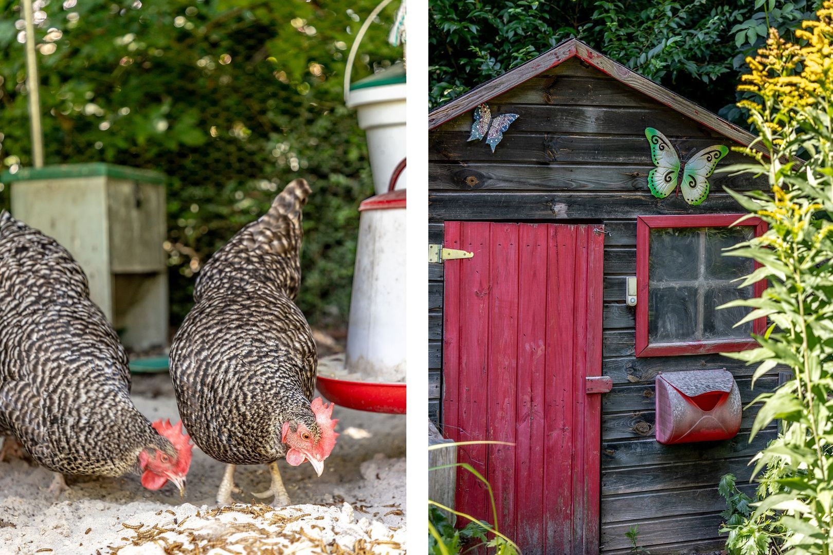 Alexander Verhuellstraat 8, Brielle foto-59