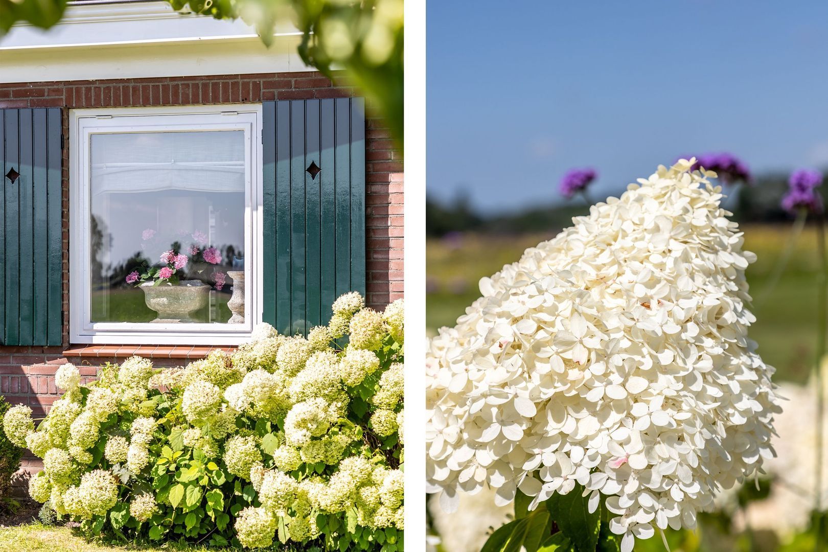 Hilseweg 4, Rockanje foto-5