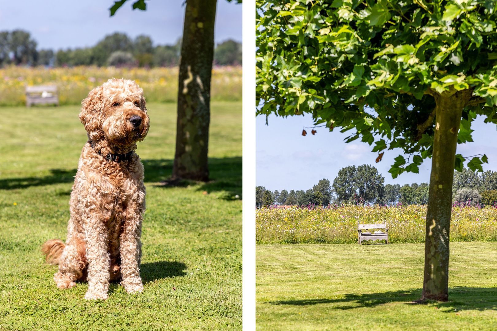 Hilseweg 4, Rockanje foto-44