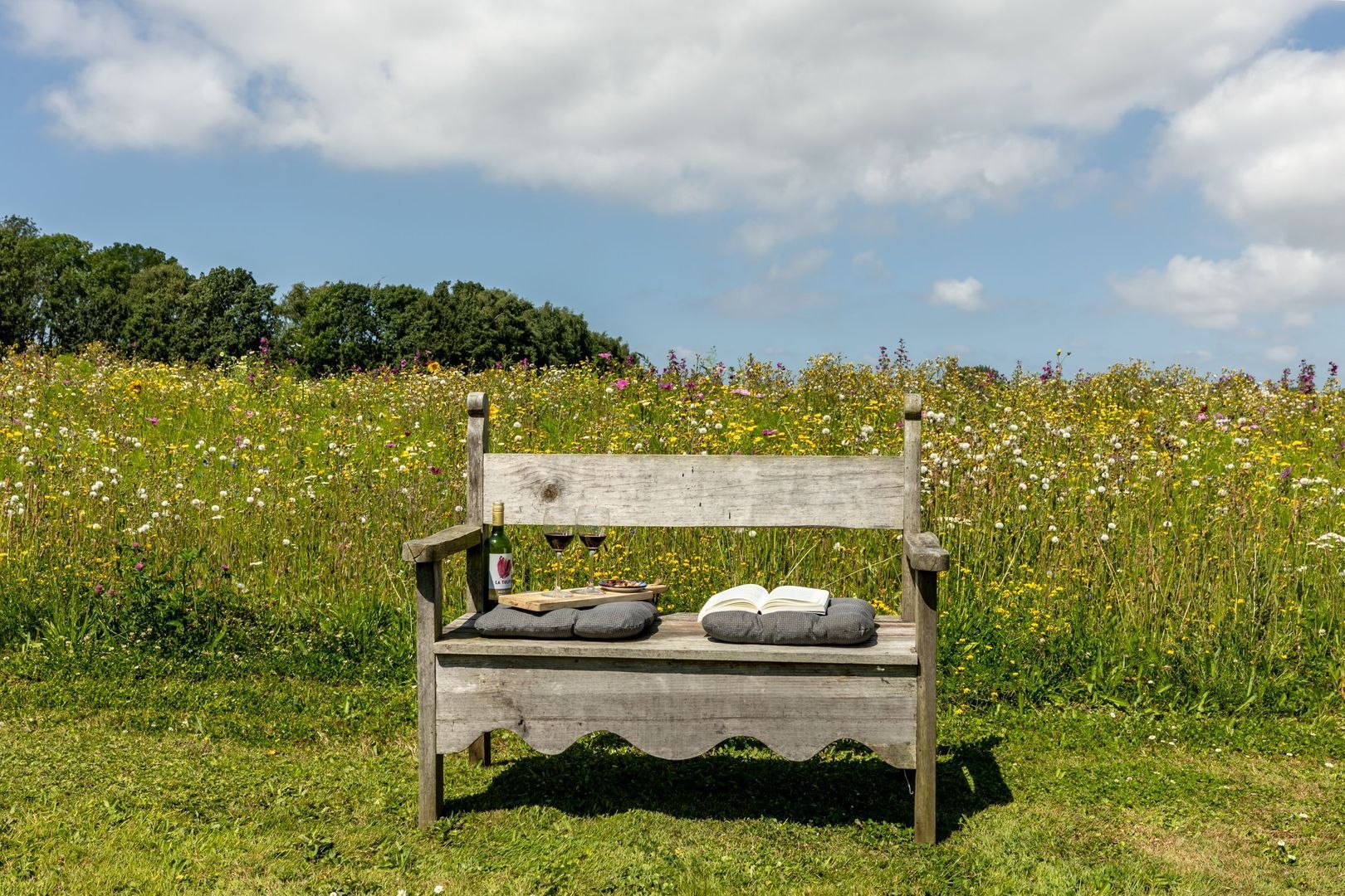 Hilseweg 4, Rockanje foto-43