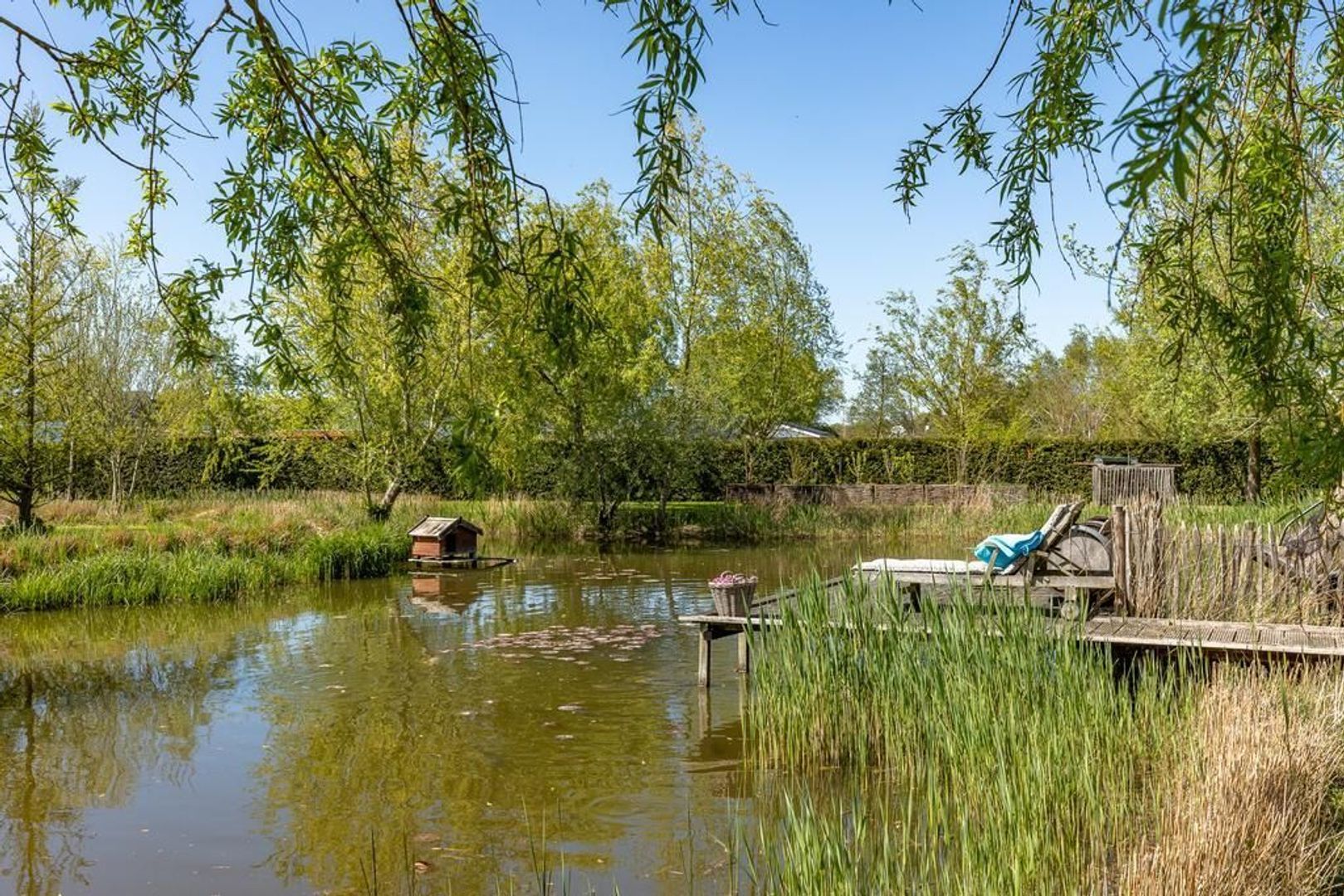 Doornweg 1 c, Rockanje foto-16