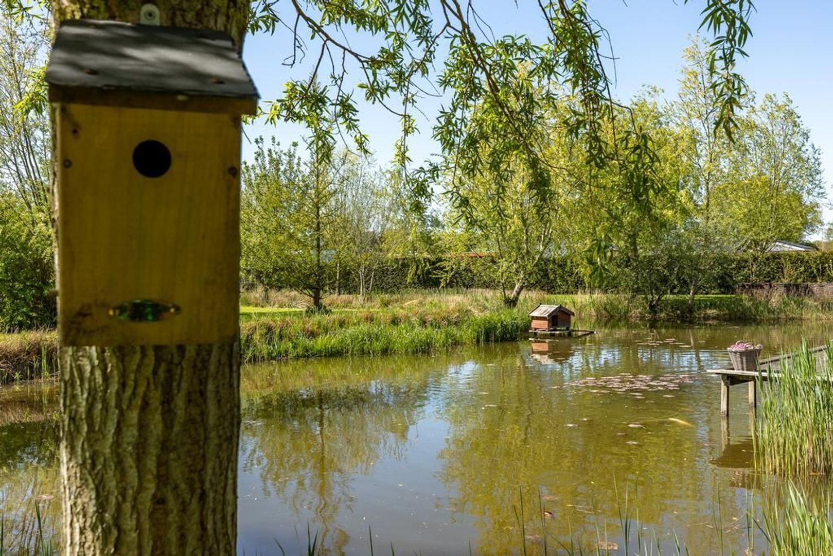 Doornweg 1 c, Rockanje foto-15