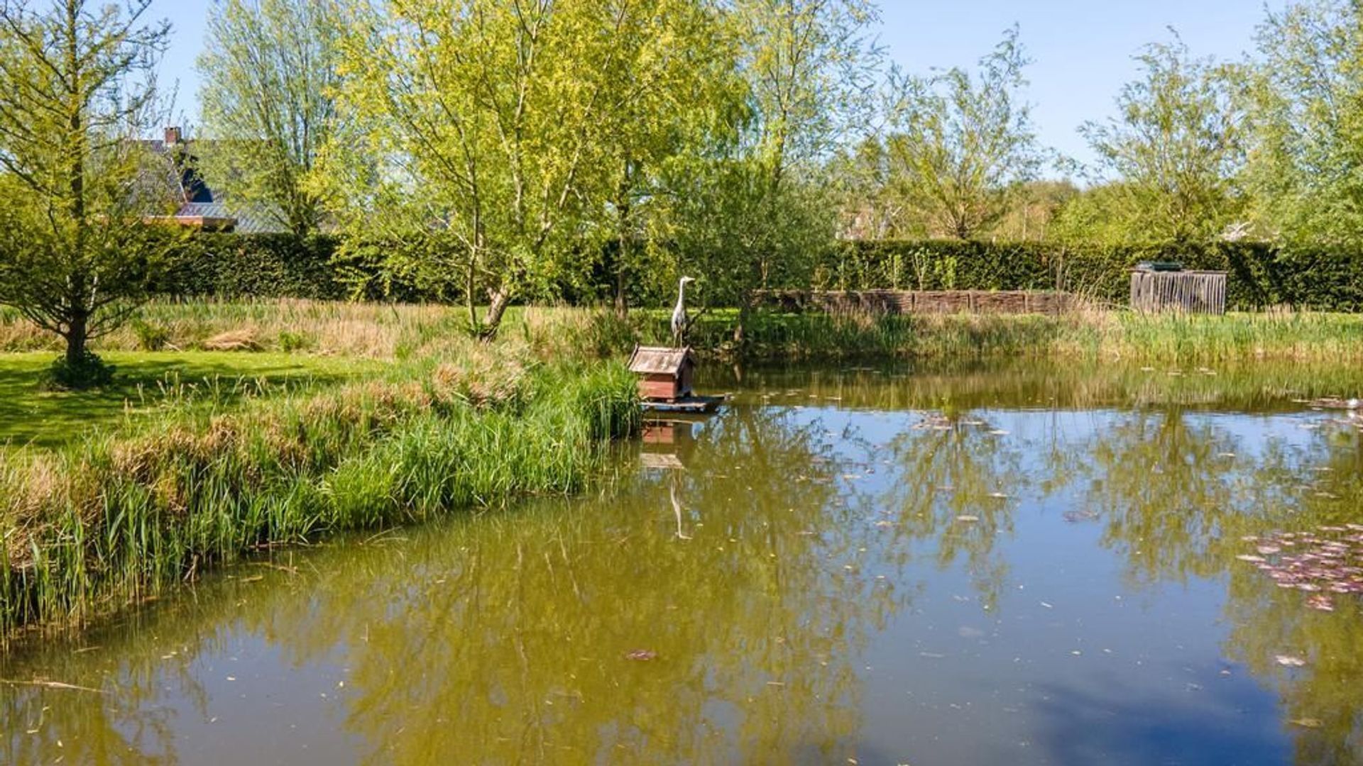 Doornweg 1 c, Rockanje foto-66