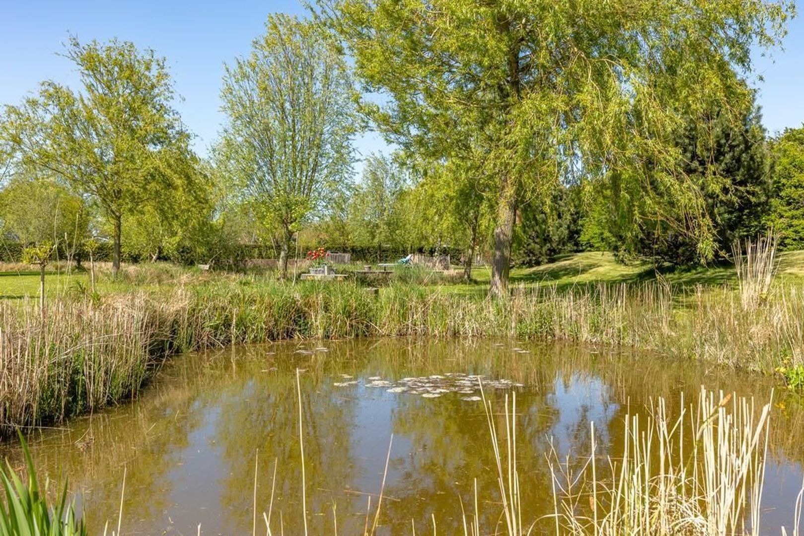 Doornweg 1 c, Rockanje foto-13