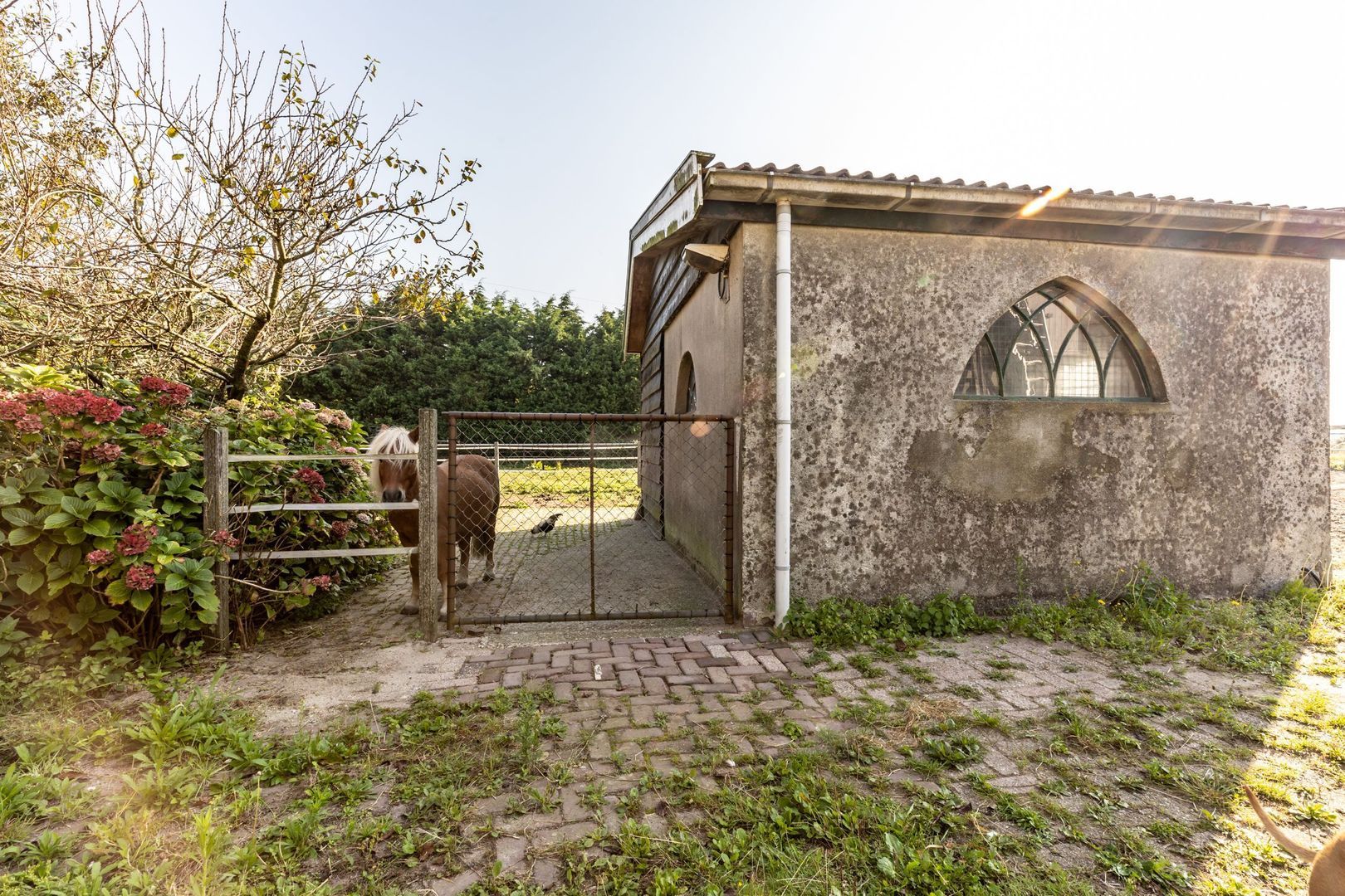 Abbewerveweg 5, Zwartewaal foto-13