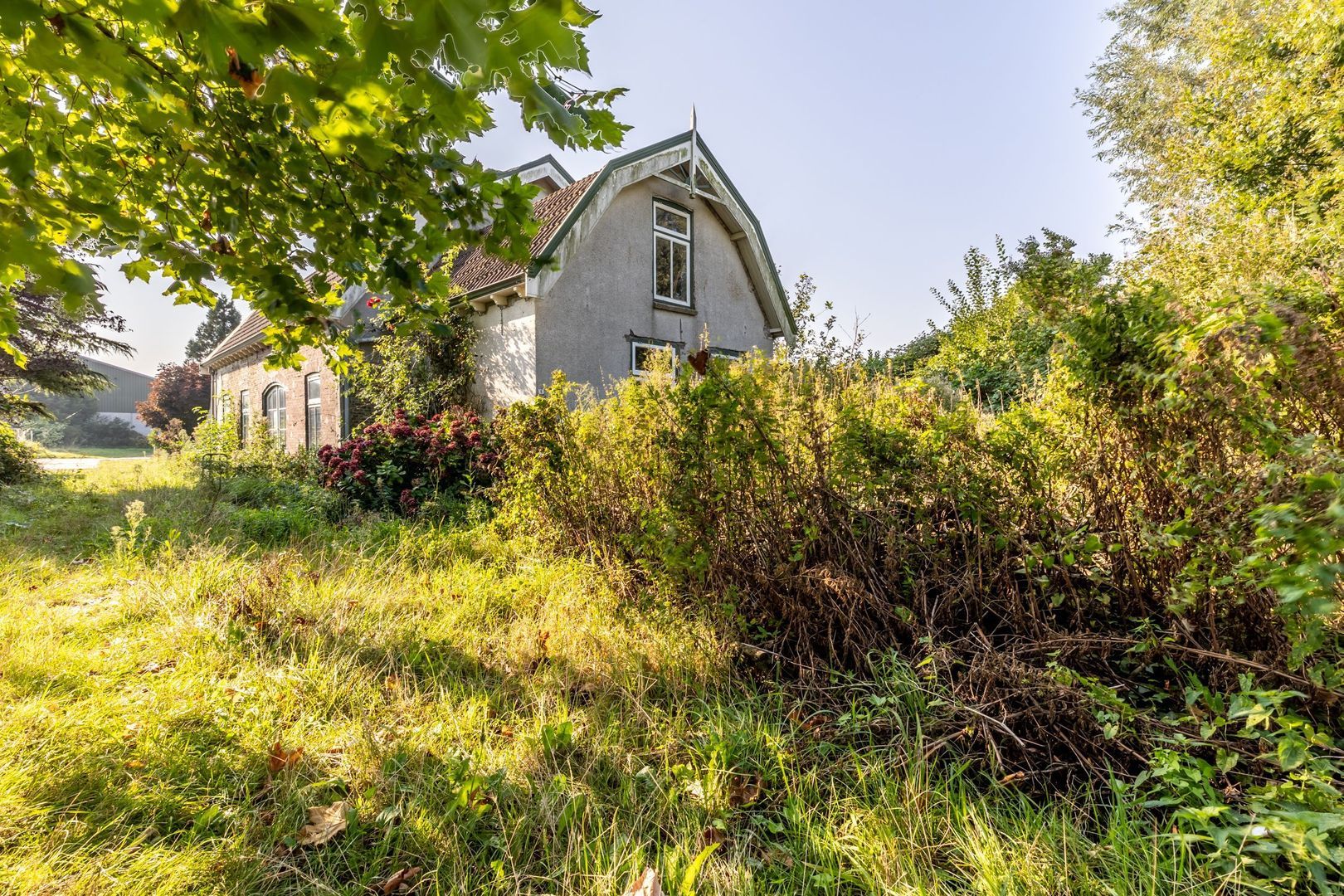 Abbewerveweg 5, Zwartewaal foto-5