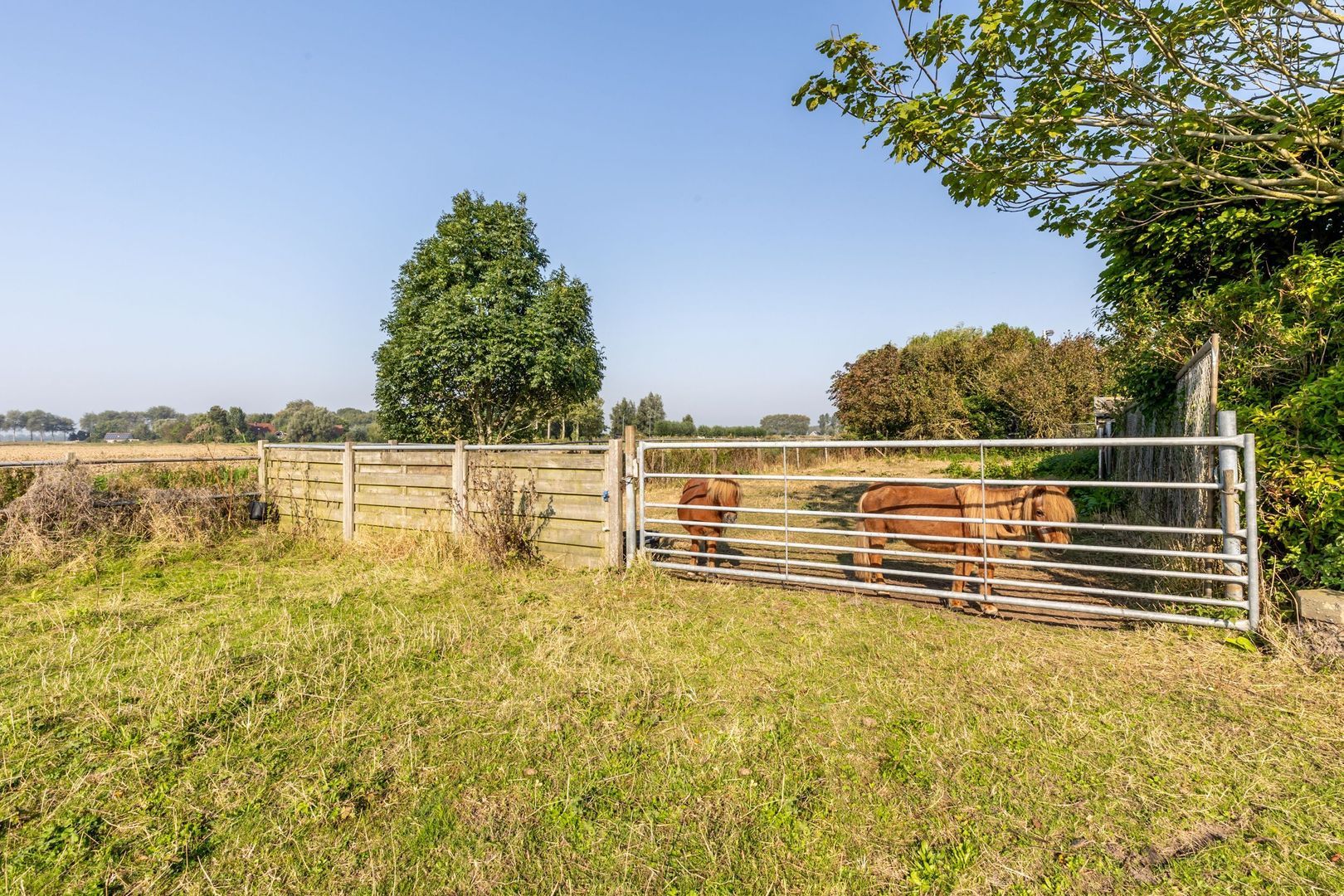 Abbewerveweg 5, Zwartewaal foto-16