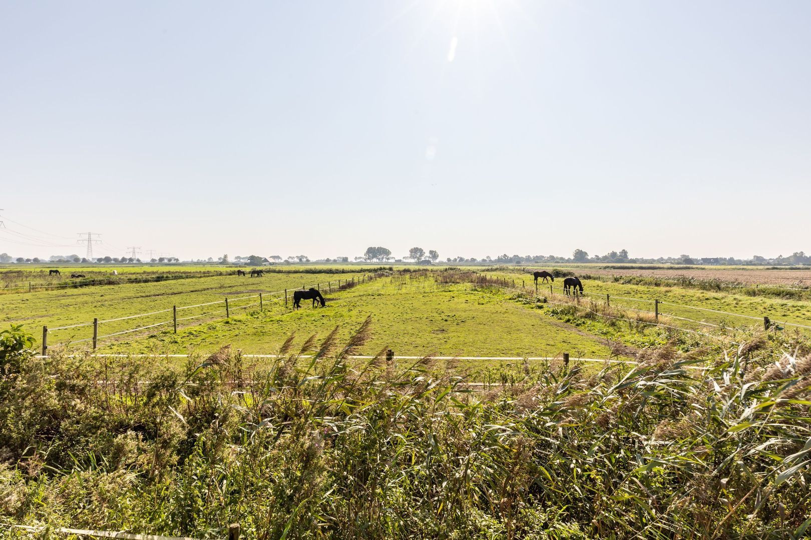 Abbewerveweg 5, Zwartewaal foto-3