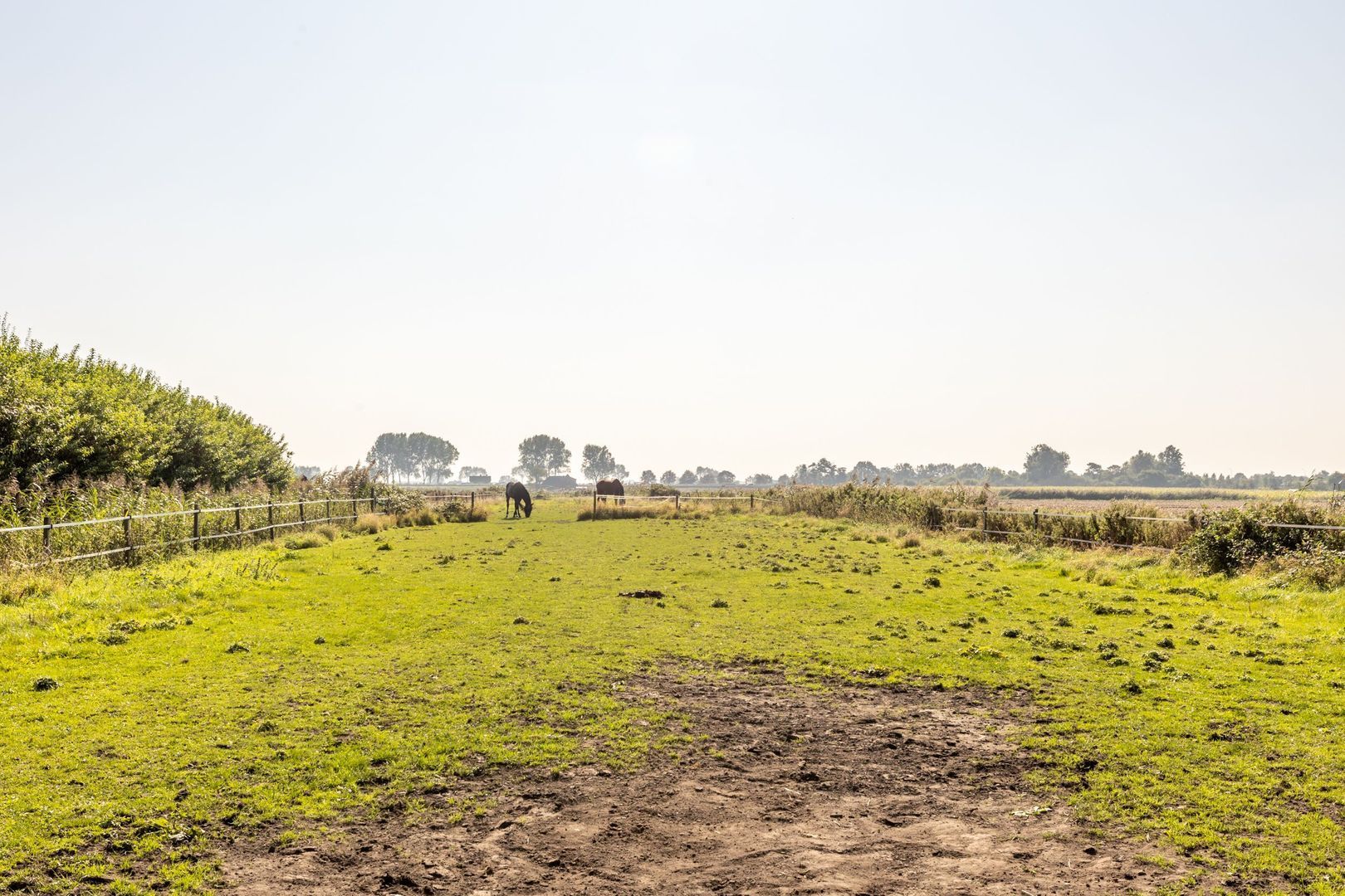 Abbewerveweg 5, Zwartewaal foto-39