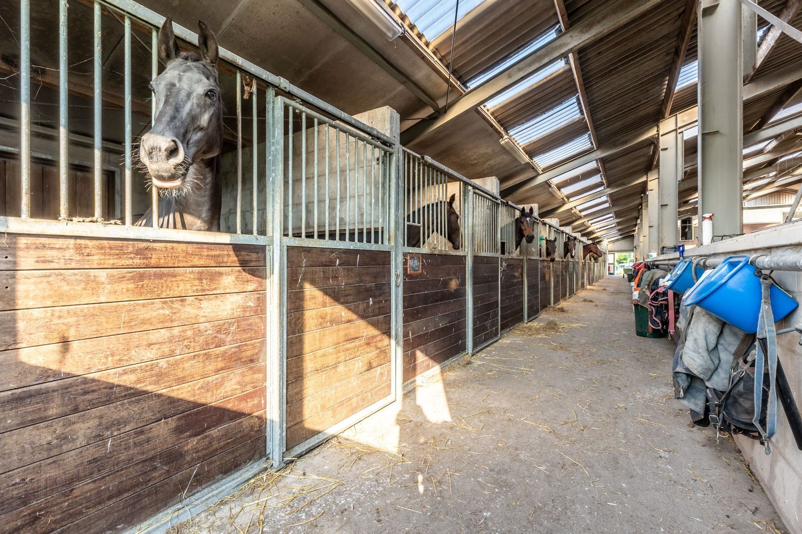 Abbewerveweg 5, Zwartewaal foto-22