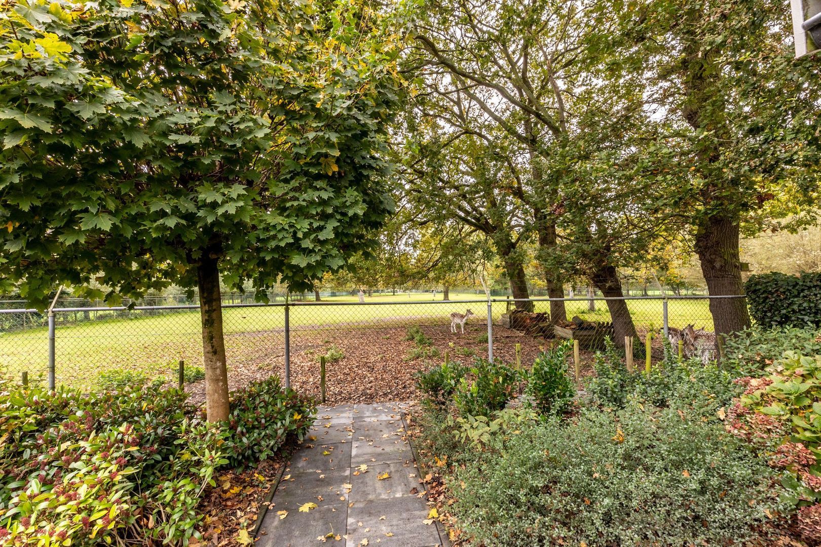 Zandweg 39, Oostvoorne foto-45