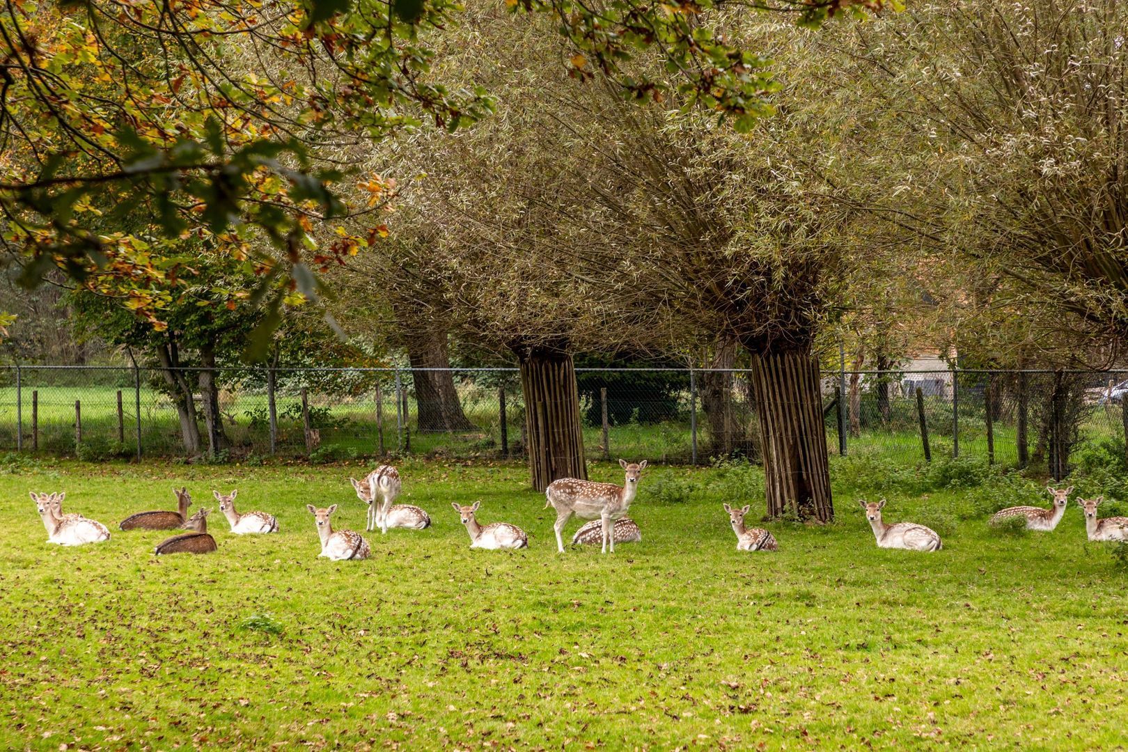 Zandweg 39, Oostvoorne foto-48