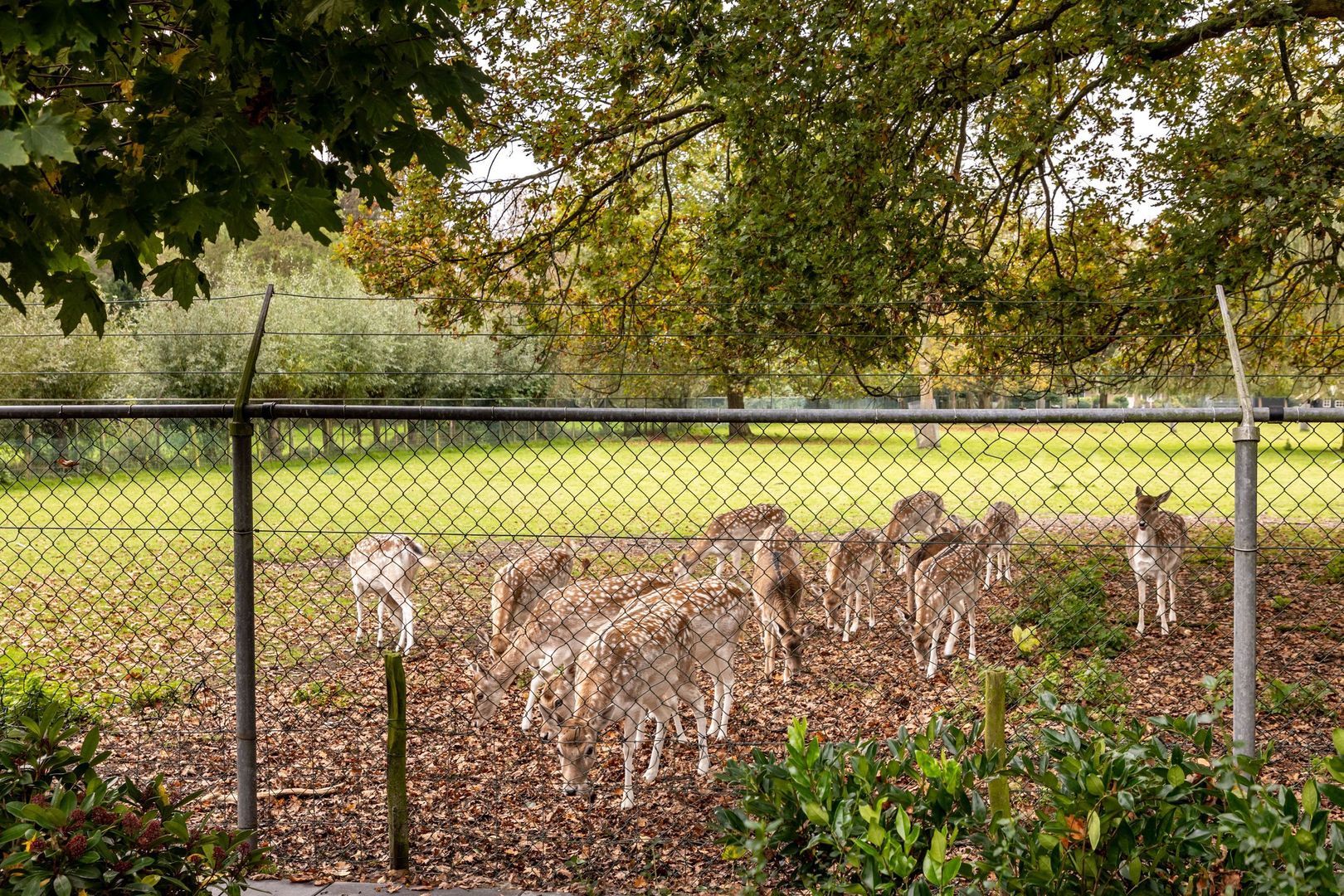 Zandweg 39, Oostvoorne foto-46
