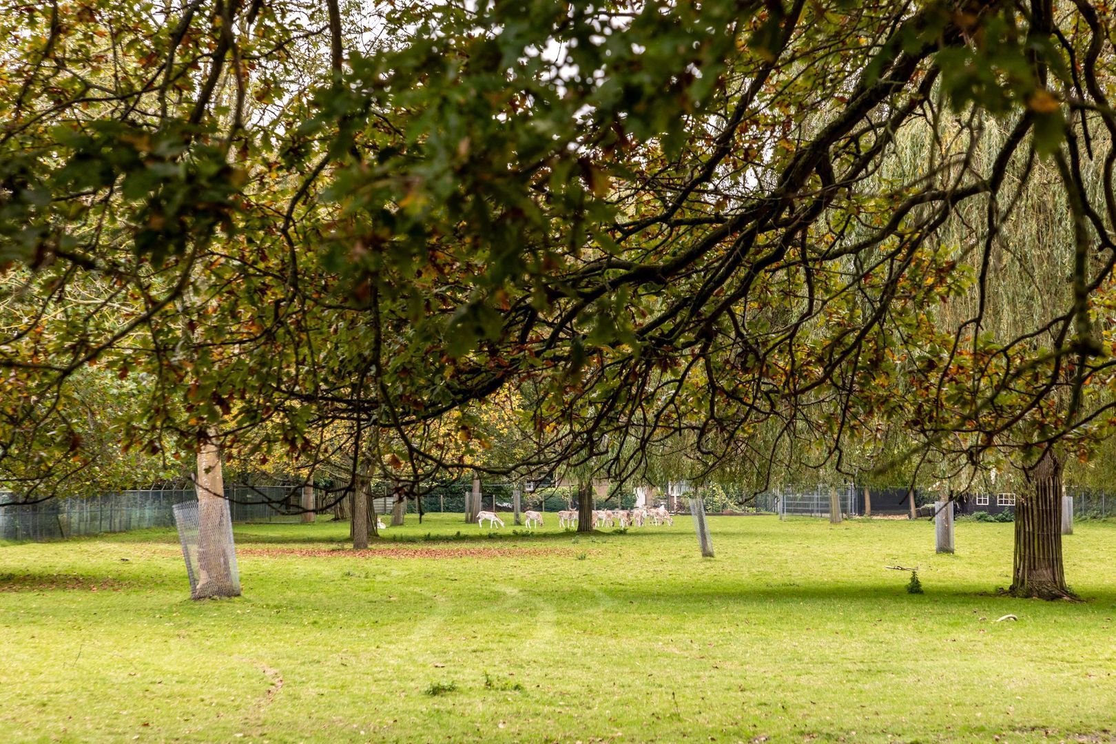 Zandweg 39, Oostvoorne foto-49