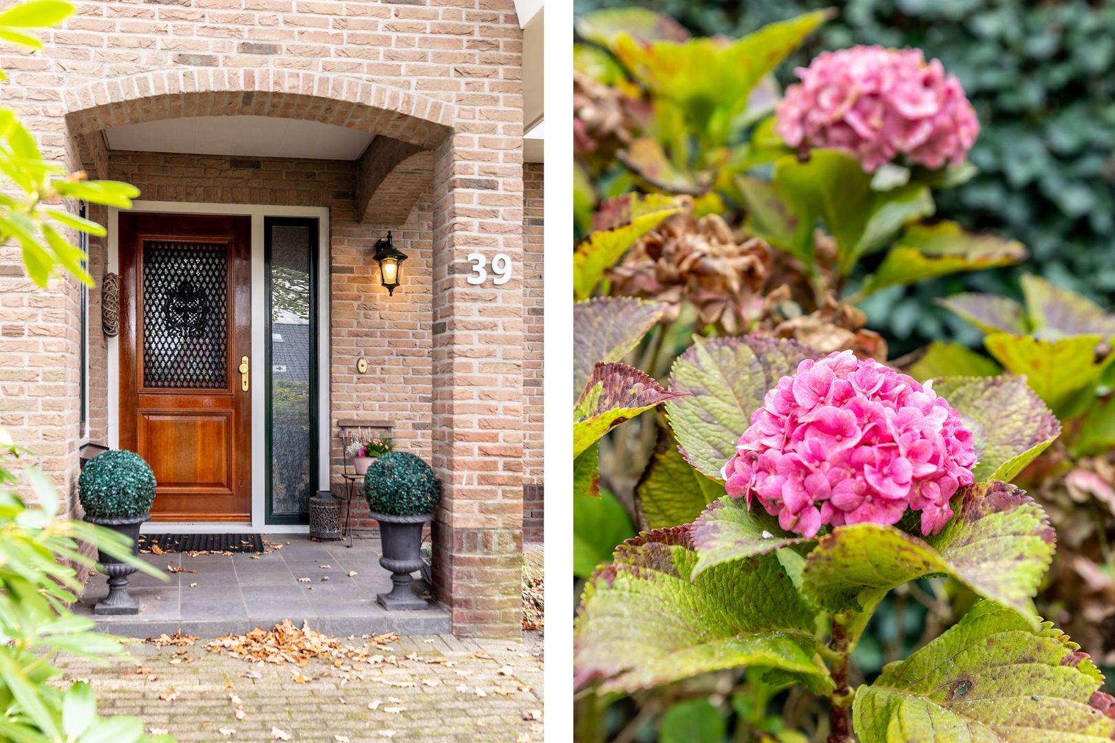 Zandweg 39, Oostvoorne foto-8