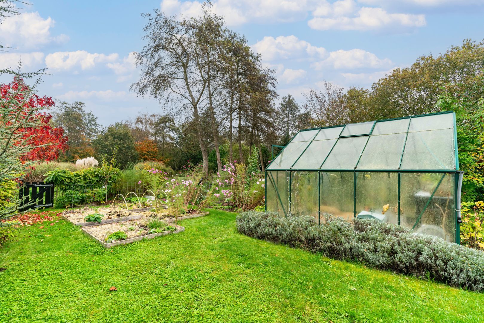 Zandweg 62, Oostvoorne foto-63