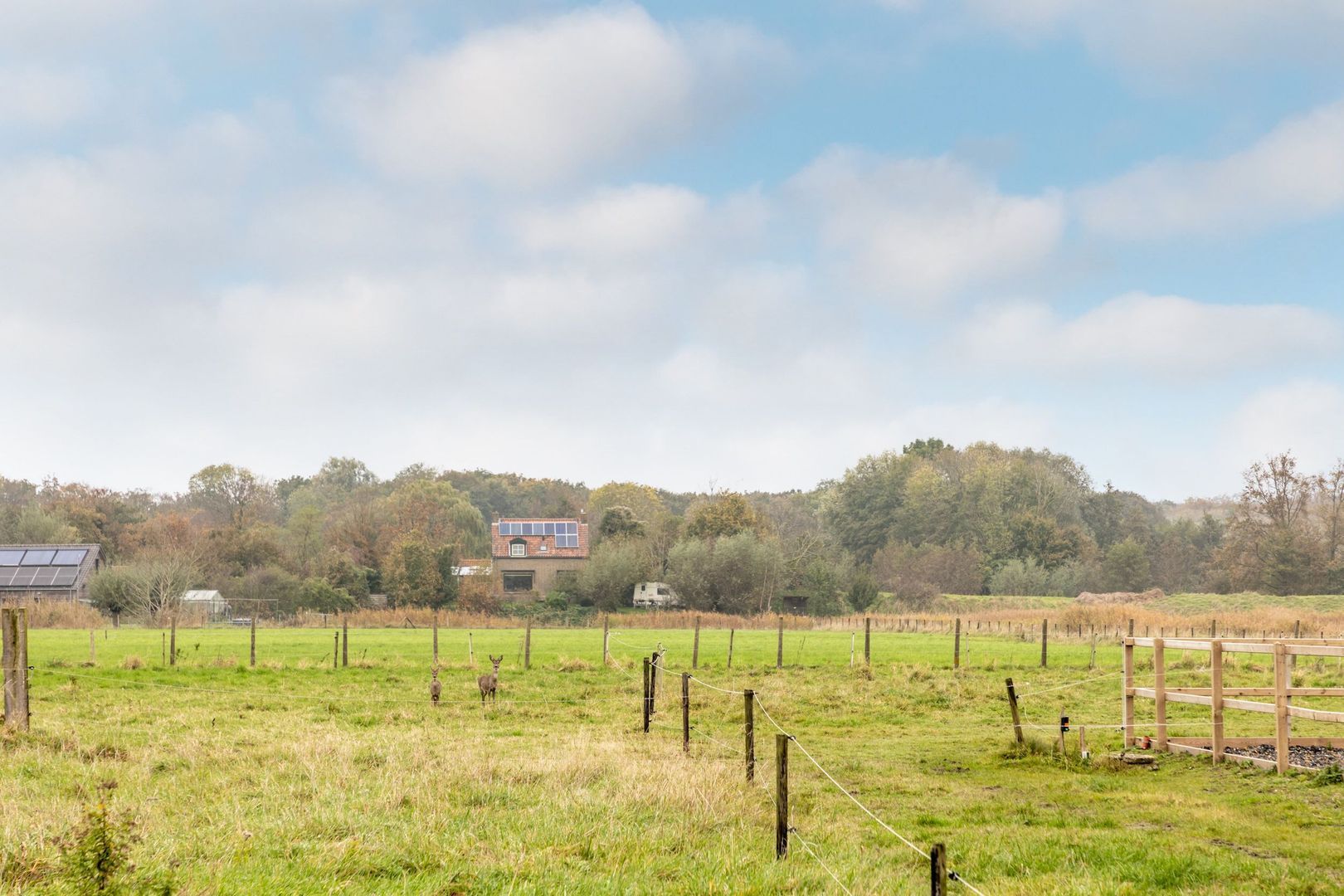 Middelweg 10, Rockanje foto-46