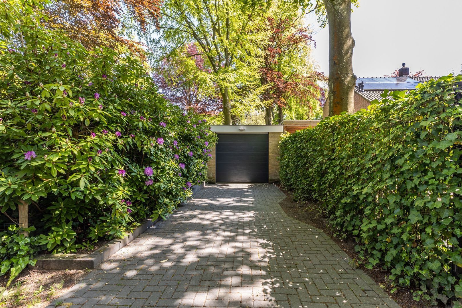 Parklaan 7, Oostvoorne foto-54