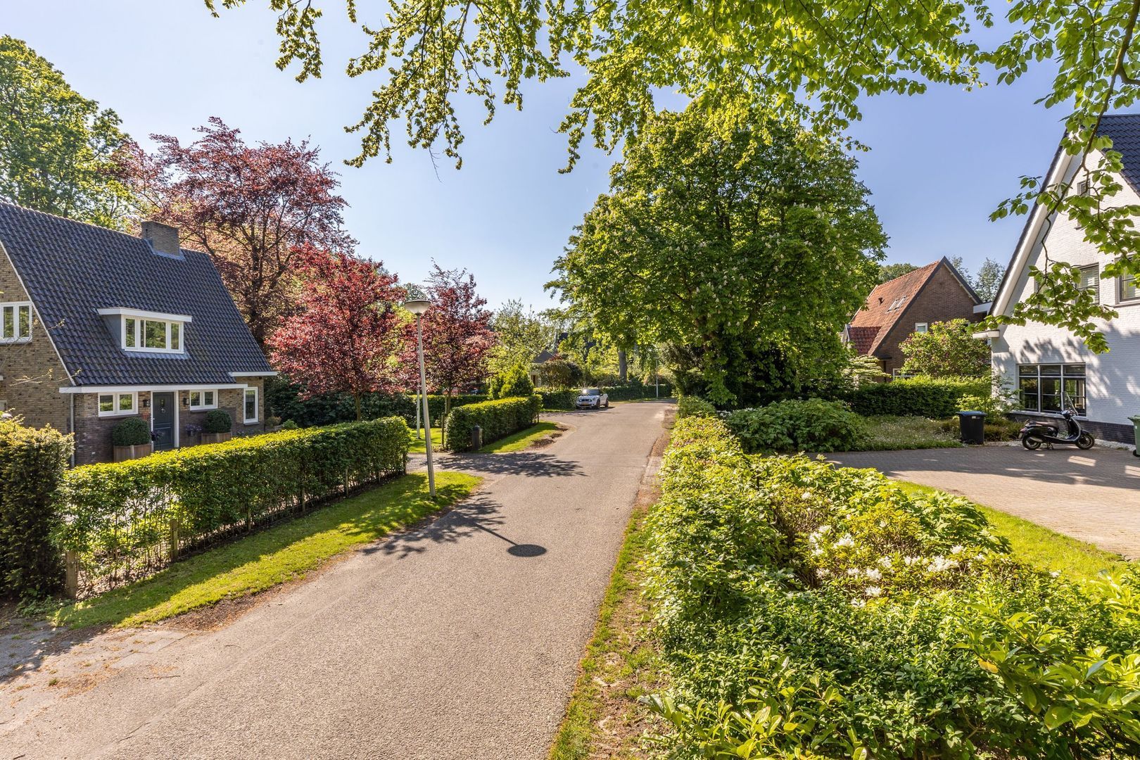 Parklaan 7, Oostvoorne foto-4