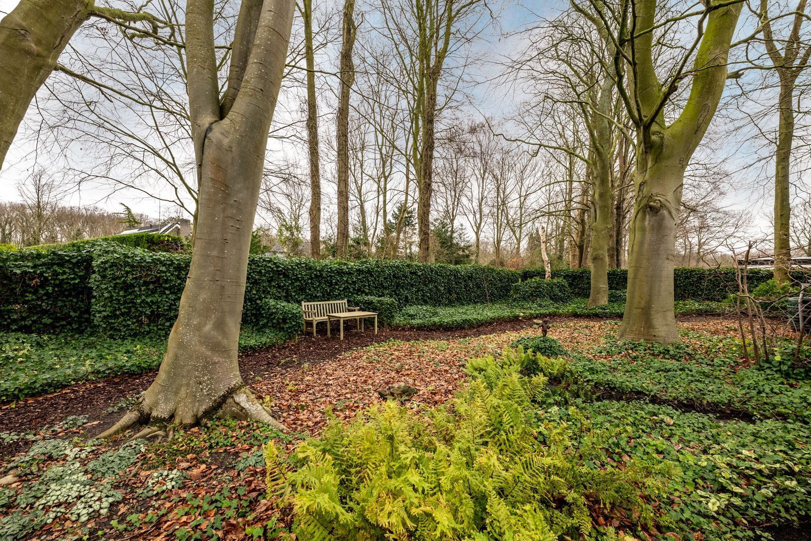 Zeedistellaan 16, Oostvoorne foto-49