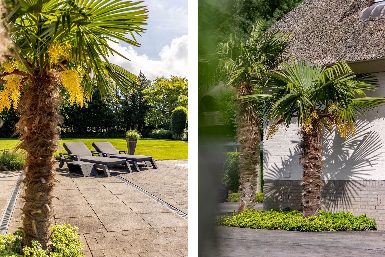 Duinzoom 32, Rockanje foto-58