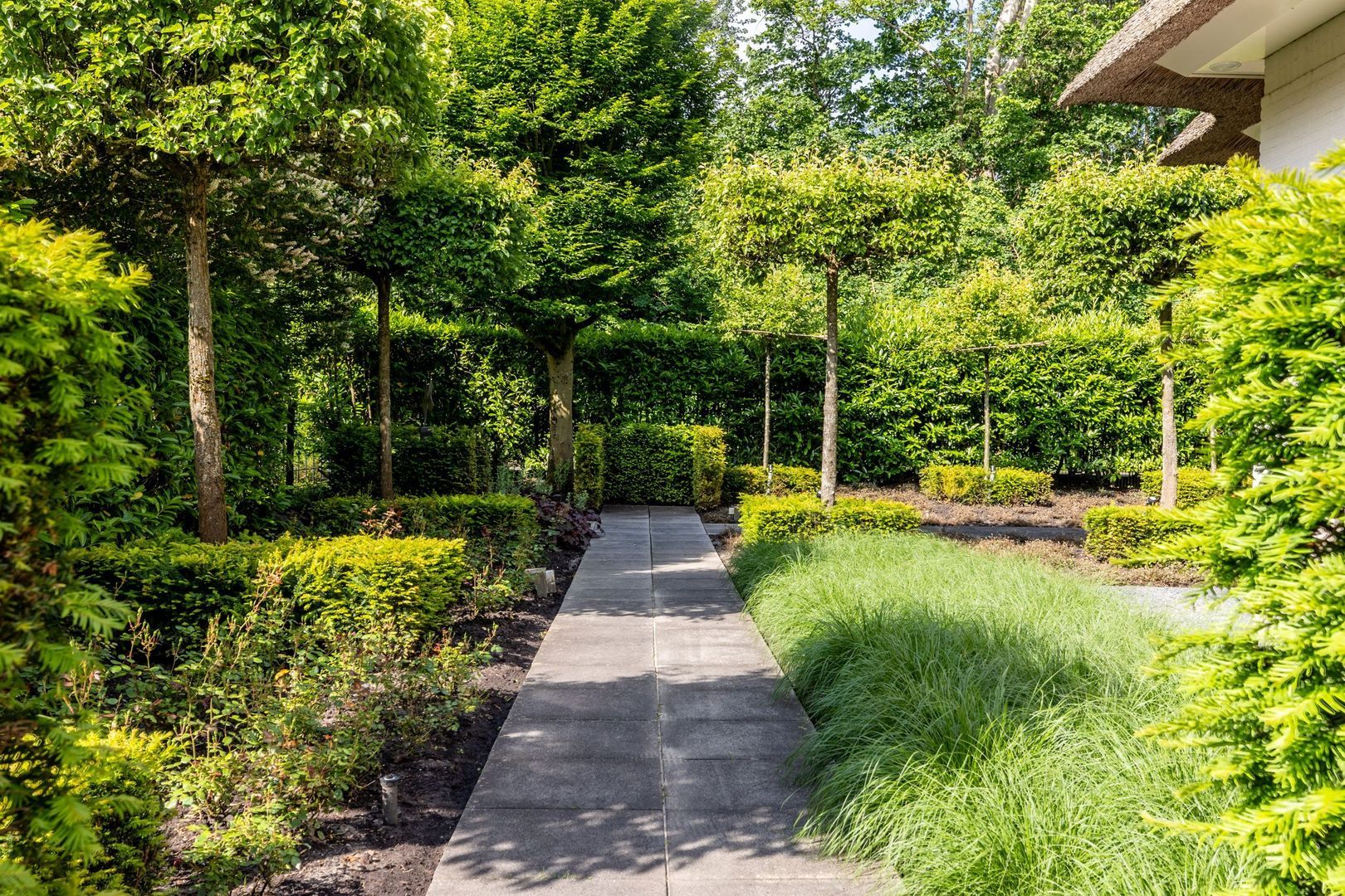 Duinzoom 32, Rockanje foto-78