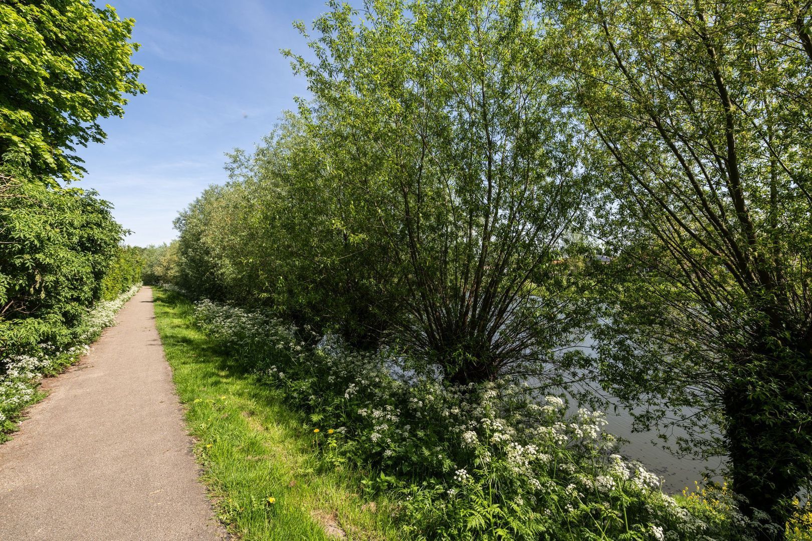 Opzoomerlaan 116, Hellevoetsluis foto-76