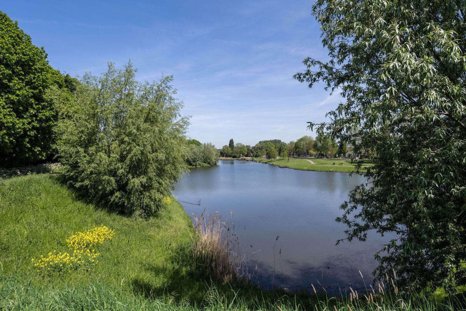 Opzoomerlaan 116, Hellevoetsluis foto-78