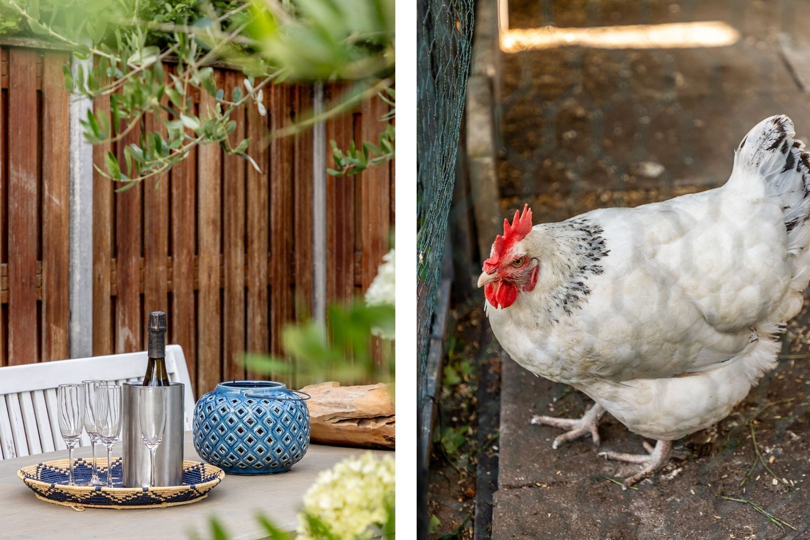 Molendijk 67, Rhoon foto-61